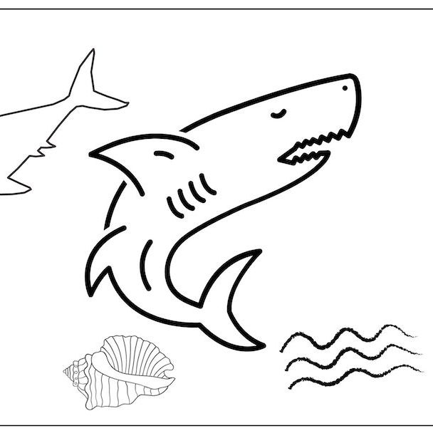 shark colouring page
