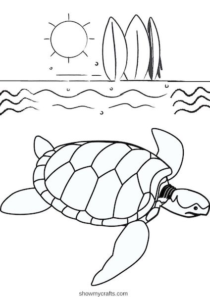 Turtle colouring pages