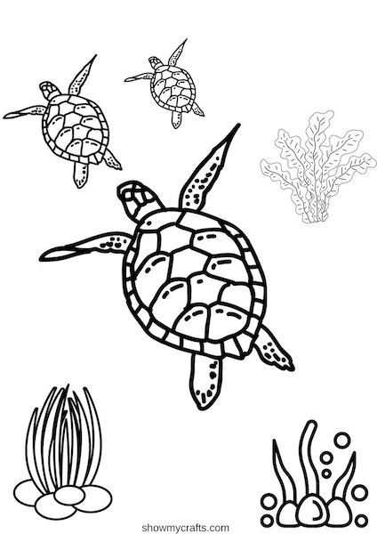 Turtle colouring pages