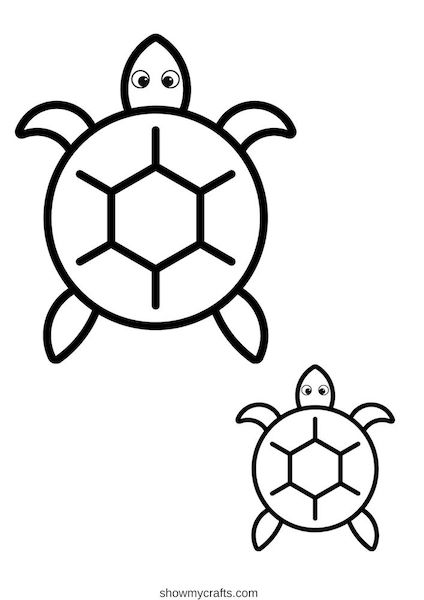 Turtle colouring pages