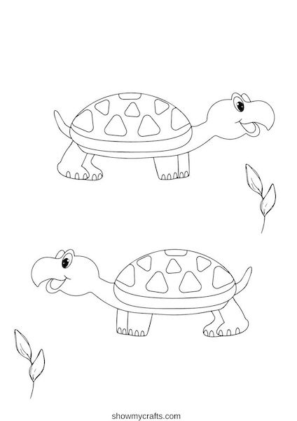 Tortoise colouring pages