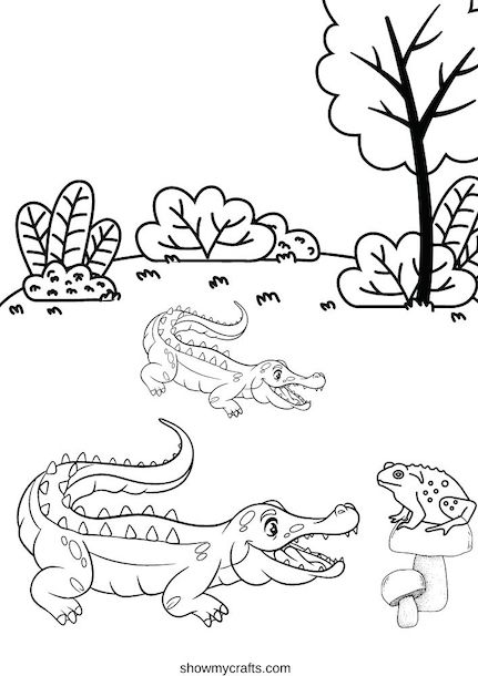 Alligator colouring pages