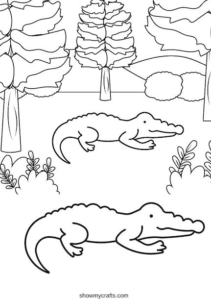 Alligator colouring pages