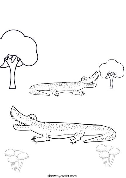 Alligator colouring pages