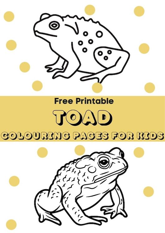 toad colouring pages