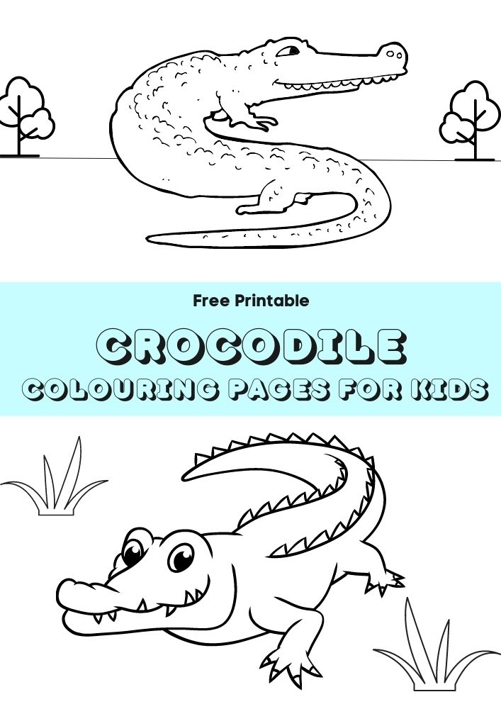 crocodile colouring pages