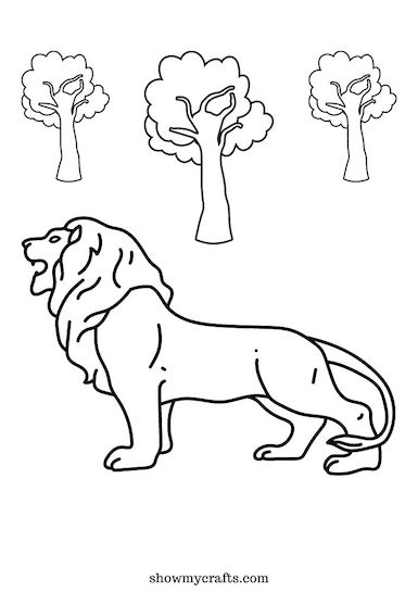 lion colouring pages