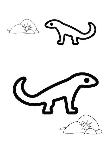 newt colouring pages