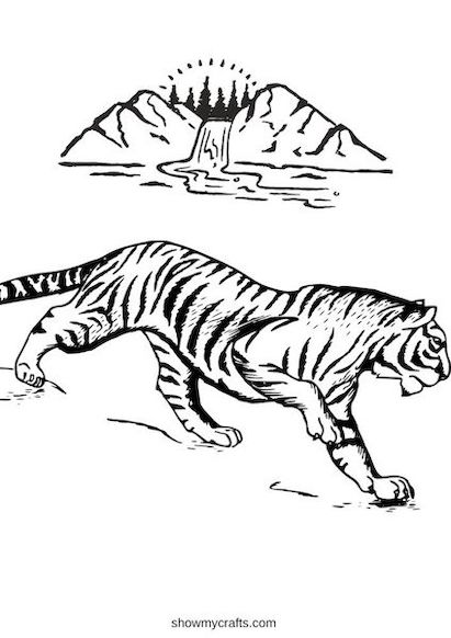 Tiger colouring pages